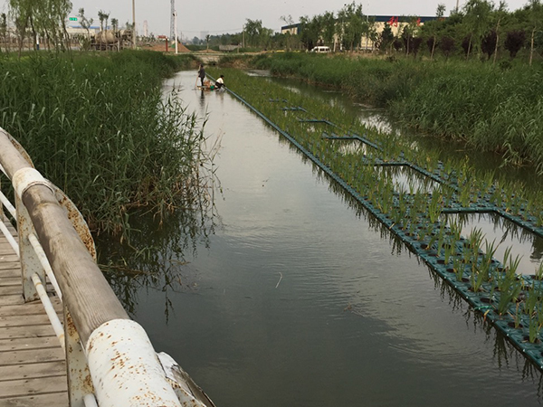 三干沟浮岛